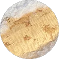 Admin P. Avatar